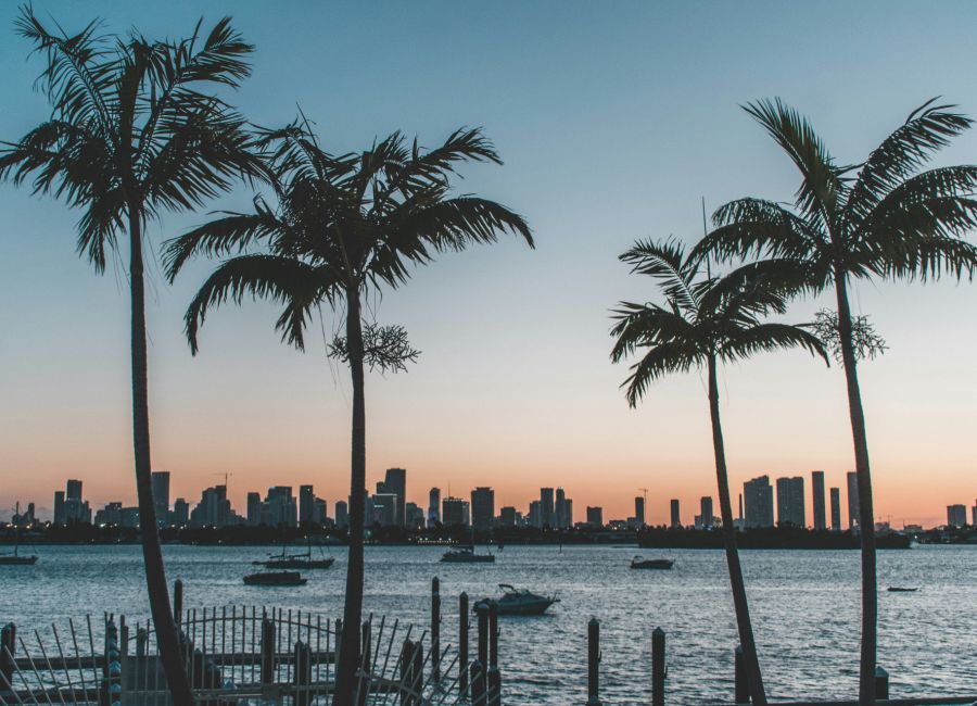 Denys kostyuchenko Miami Florida Unsplash